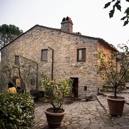 Fagiolari * Greve in Chianti