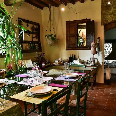 Fagiolari Couette-café Greve in Chianti